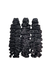 Indian Royal Curly